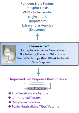 bsg_Cleanascite_Regulatory T Cell Survival in Tumors